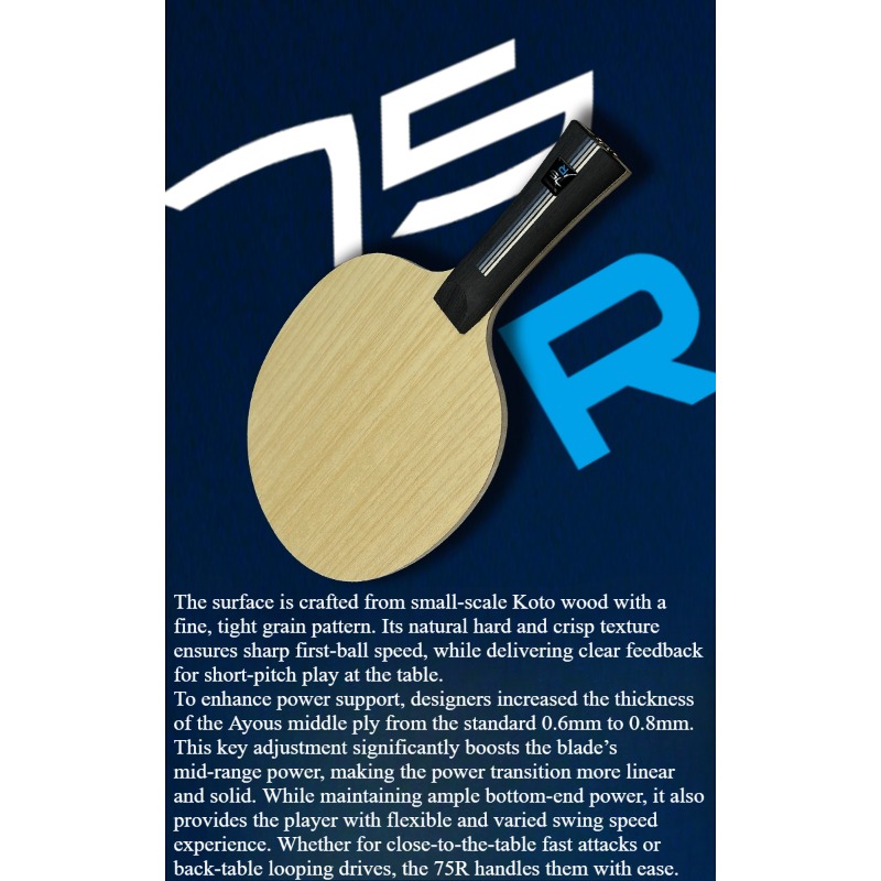 Raquete de Tênis de Mesa SANWE - Table Tennis Paddles avaliação e preço