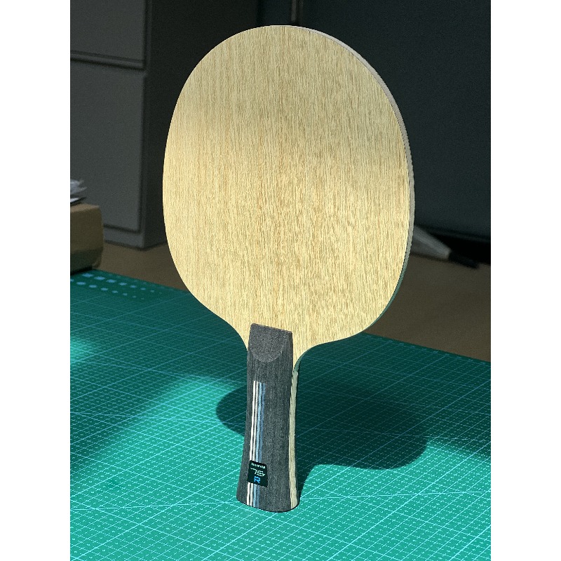 Raquete de Tênis de Mesa SANWE - Table Tennis Paddles avaliação e preço